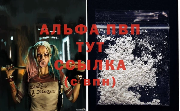 гидра Балахна