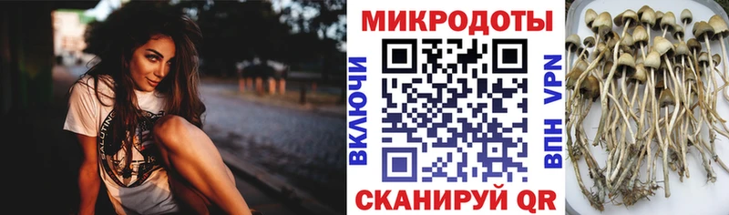 Псилоцибиновые грибы мухоморы  Семилуки 